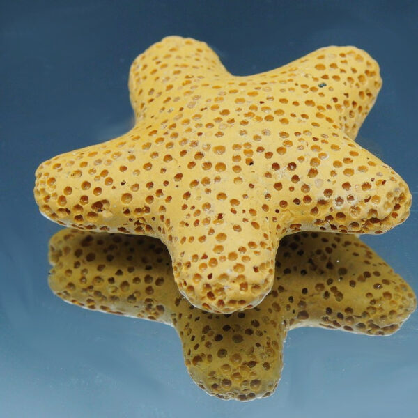 Etoile en pierre de lave noire poreuse, idéal pour diffuser des huiles essentielles anti-moustiques de façon naturelle et élégante